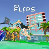 Play Mr Flip